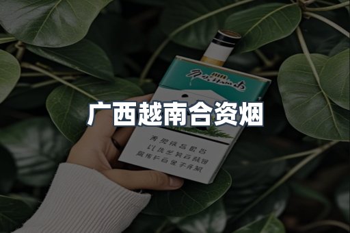 广西越南合资烟